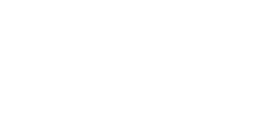 The History of Love