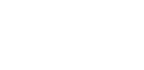New Life Begins