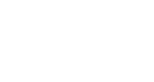 Guiding Emily
