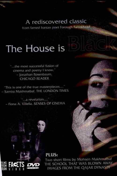 The House Is Black