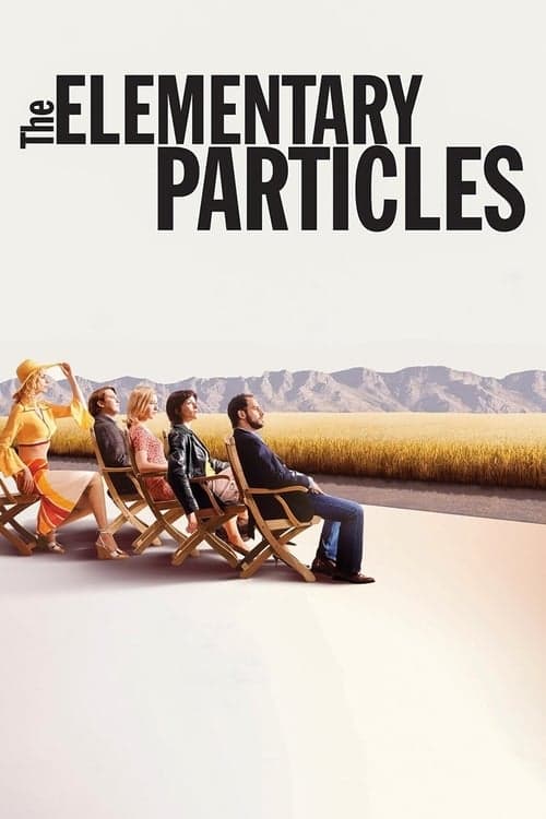 The Elementary Particles