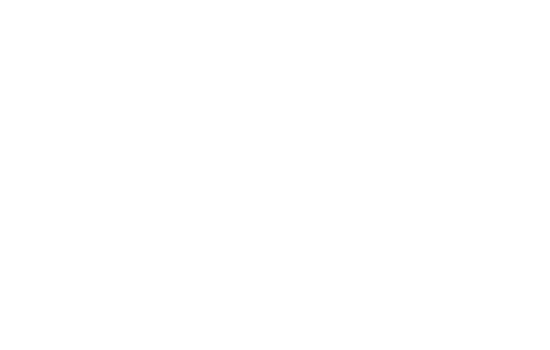 Raul Seixas: Let Me Sing