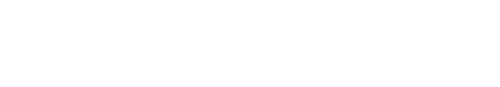 Disconnect: The Wedding Planner