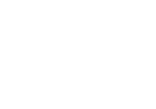 The Flash