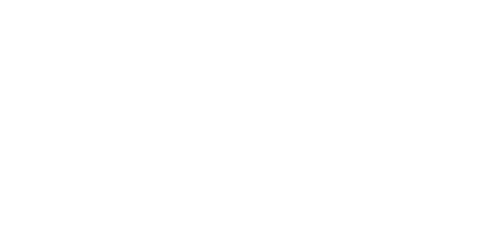 Iron Fists and Kung Fu Kicks