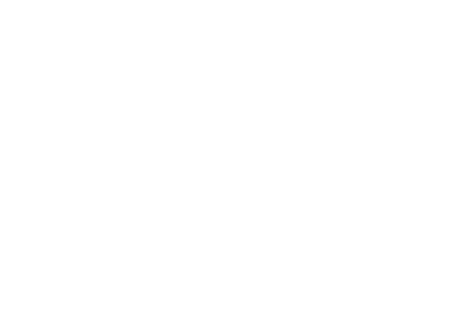 Dashing Through the Snow