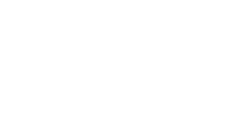 Pixie Hollow Games