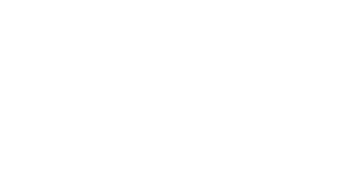 Chinese Paladin 3