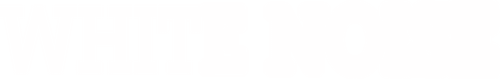 White Noise