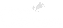 Teresa