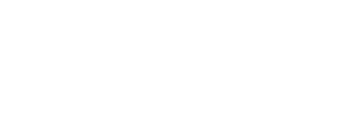 The Bouncer