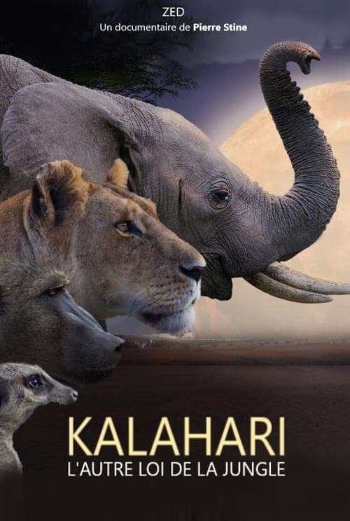 Kalahari, l'autre loi de la jungle