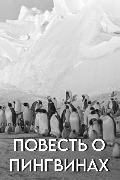 Tale of the Penguins