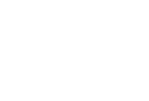 Double Scoop