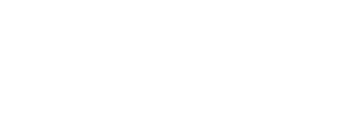 Reborn Rich