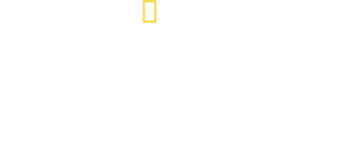 Killer Shark Vs. Killer Whale