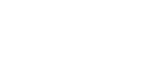 Dioses y perros