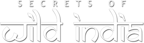 Secrets of Wild India