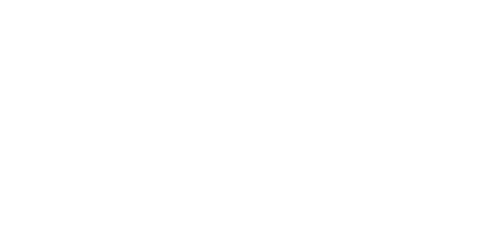 I Am Zlatan