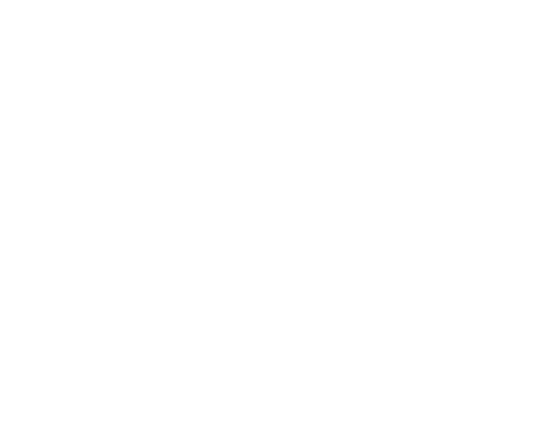 The Island