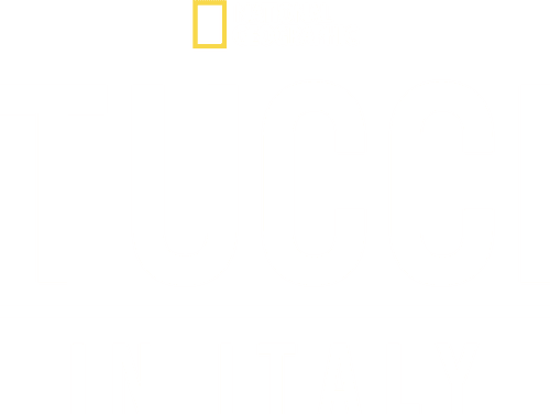 Tucci in Italy