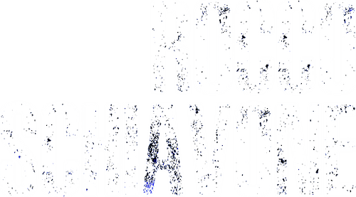 Rocco Schiavone