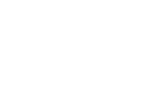 Basique, le concert