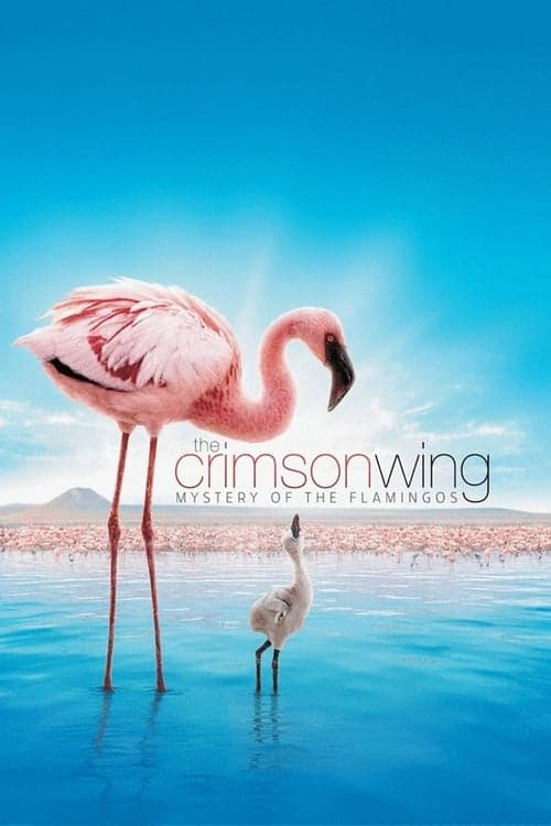 The Crimson Wing: Mystery of the Flamingos