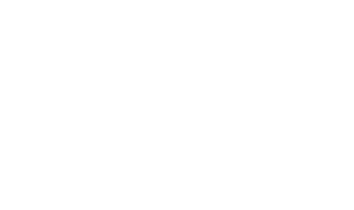 Bert's Diary