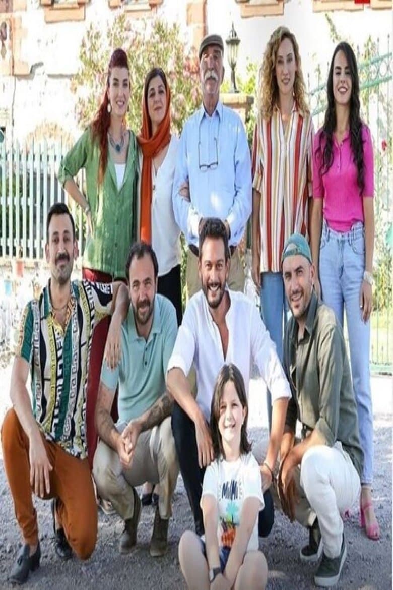 Hanımağa'nın Gelinleri