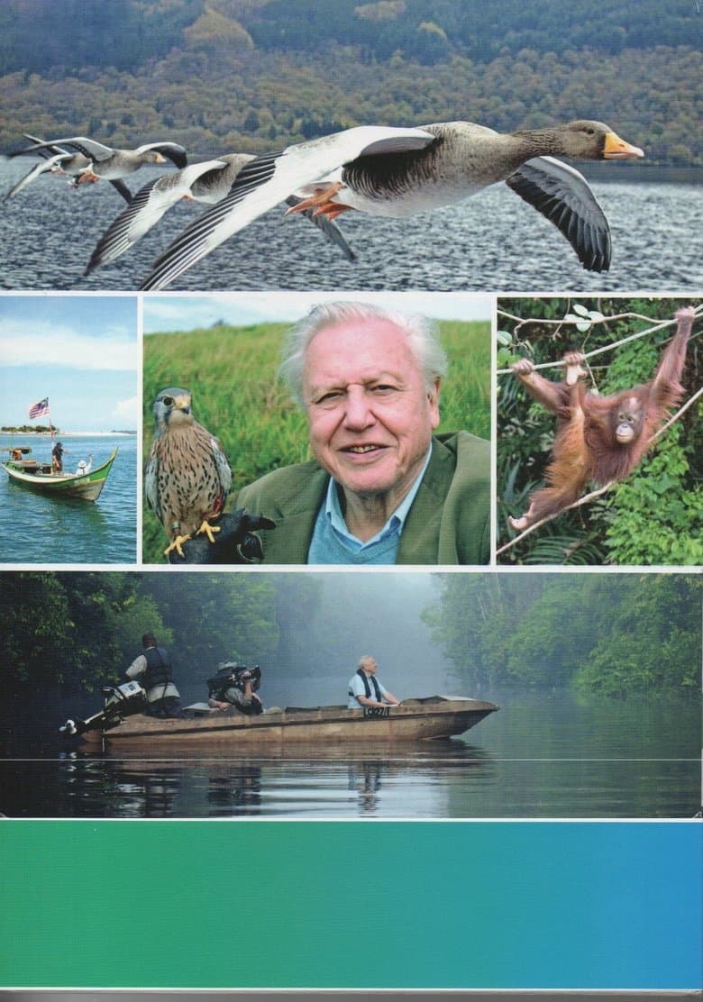 Attenborough: 60 Years in the Wild