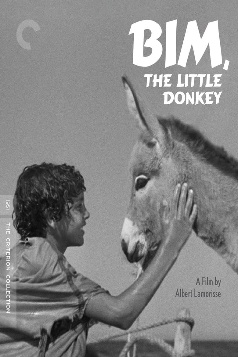 Bim, the Little Donkey