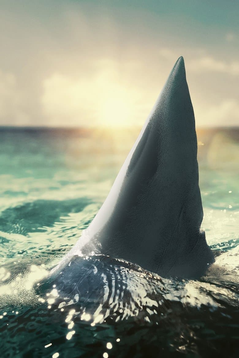 When Sharks Attack 360