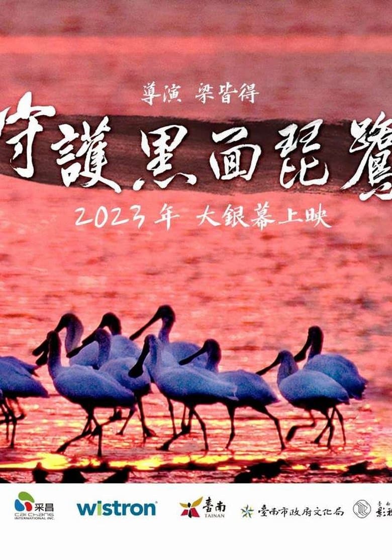 Caring for Black-Faced Spoonbill
