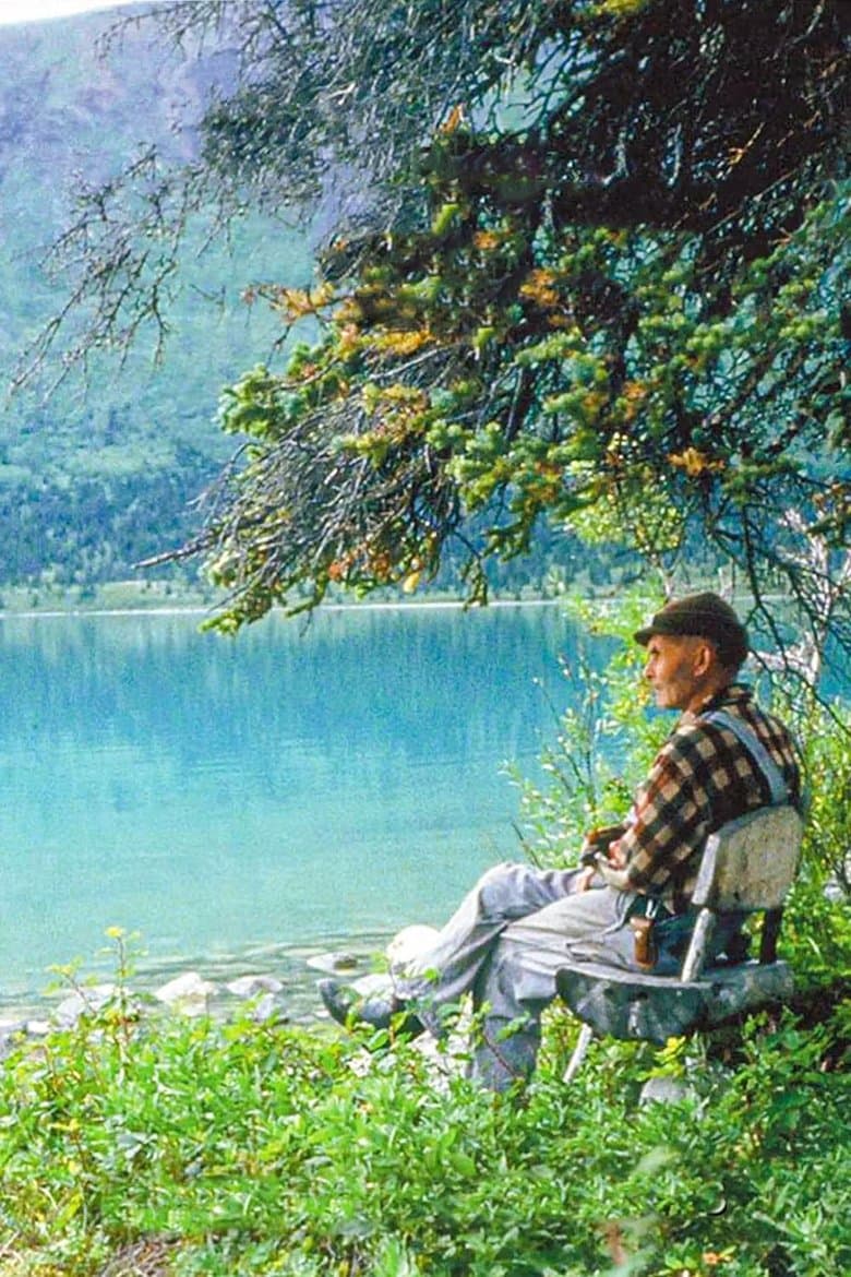 Alone in the Wilderness: Part II