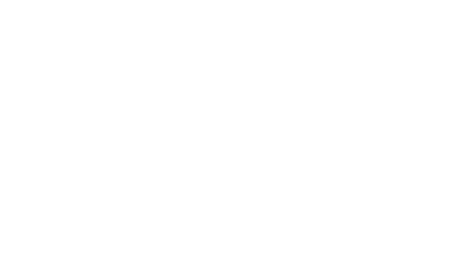 The Other