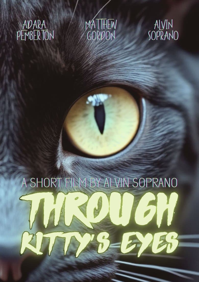 Through Kitty’s Eyes