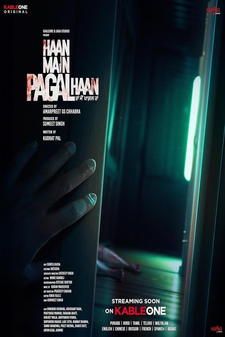 Haan Main Pagal Haan