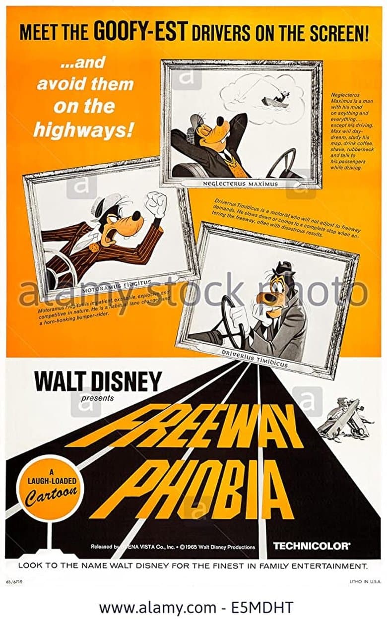 Freewayphobia