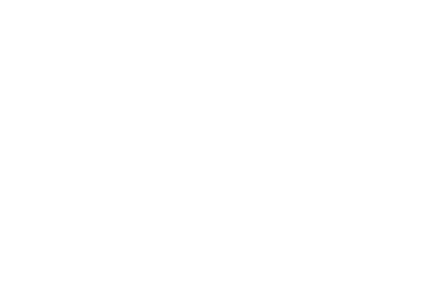 An Ice Palace Romance