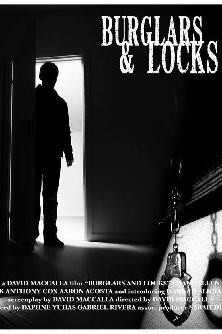 Burglars & Locks