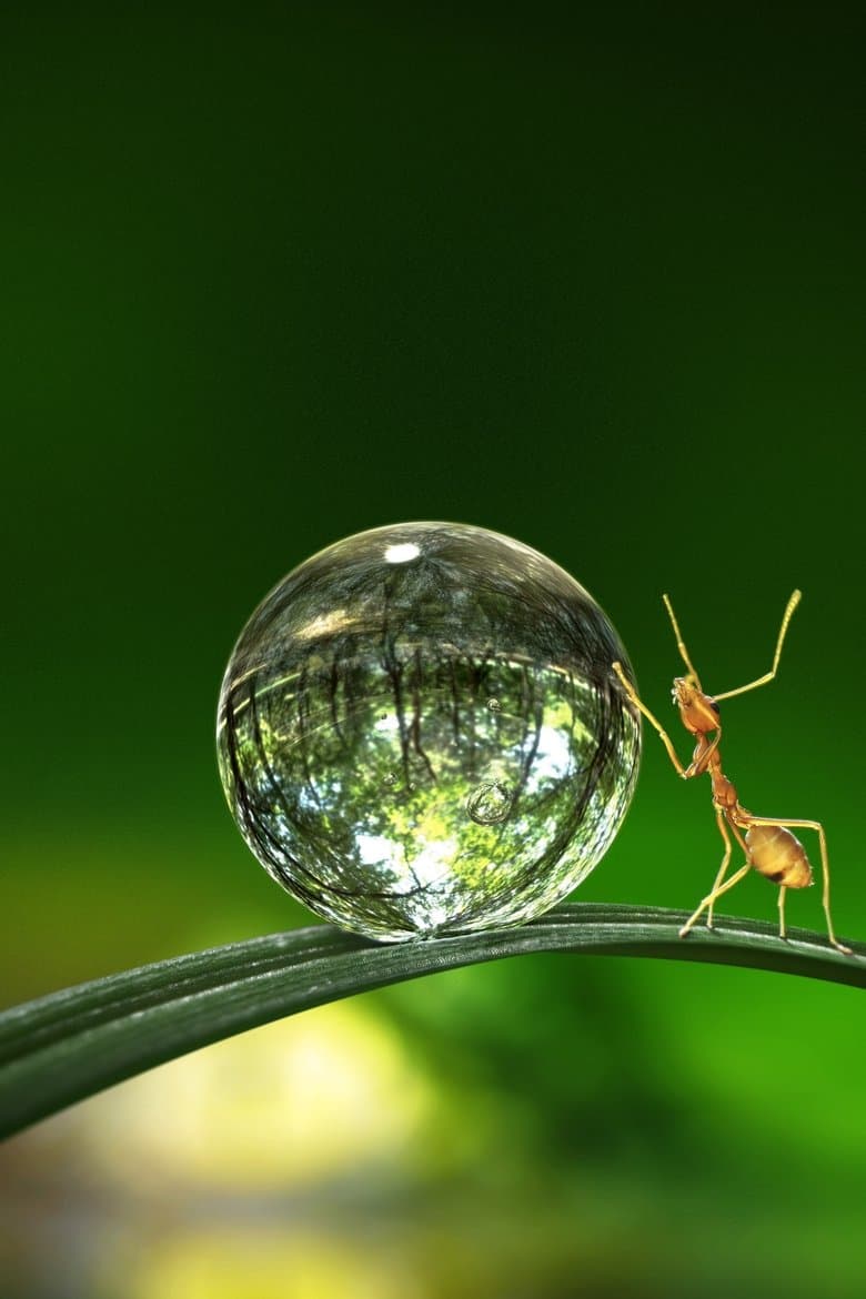 Tiny World