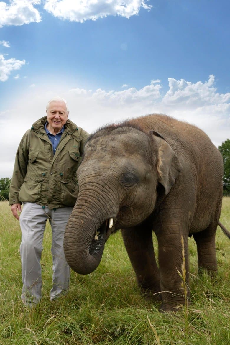 Attenborough and the Giant Elephant