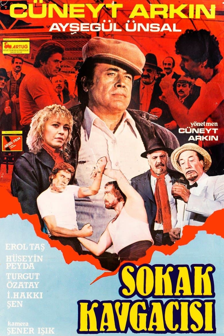 Sokak Kavgacısı