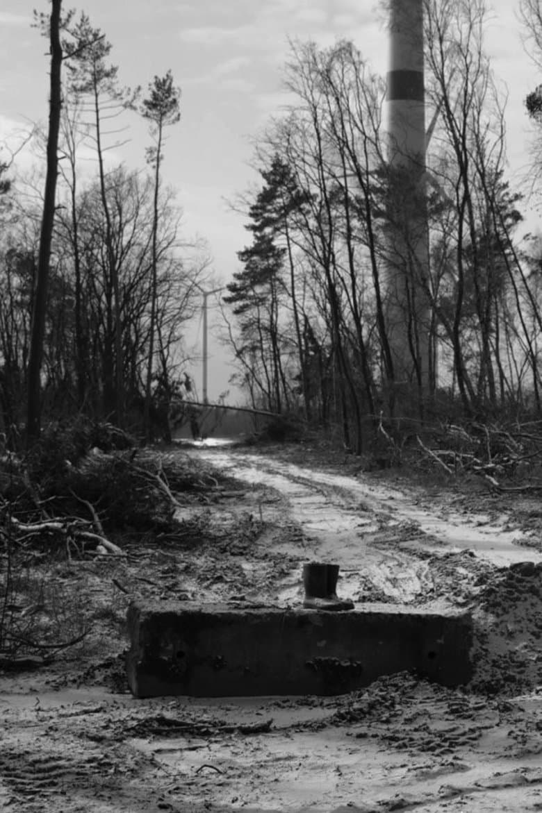 Heimat Is a Space in Time
