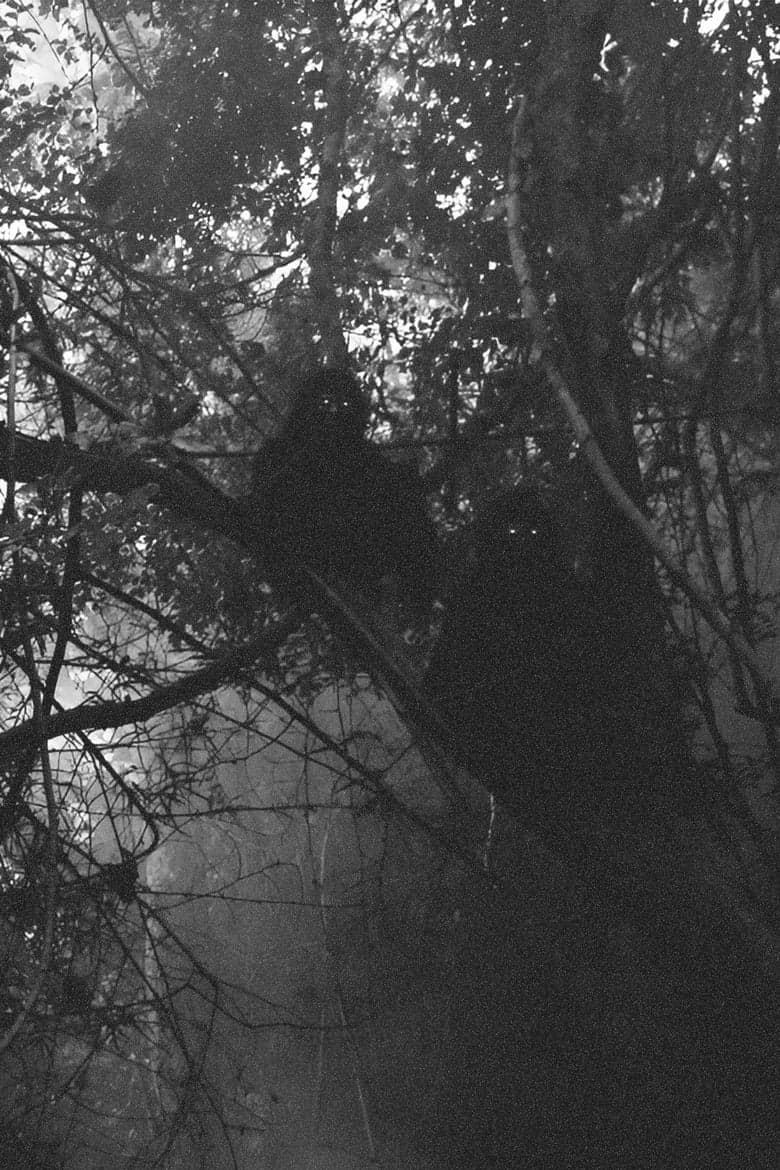 Uncle Boonmee Who Can Recall His Past Lives