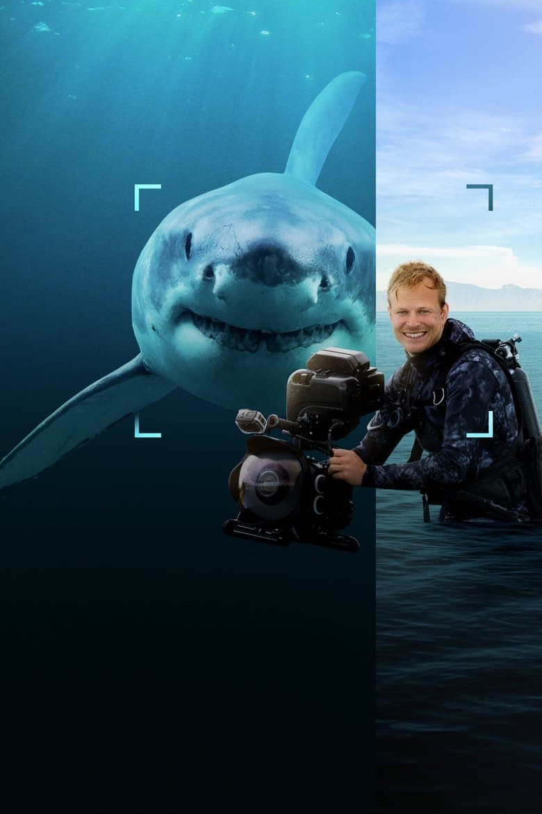 Sharks Up Close with Bertie Gregory