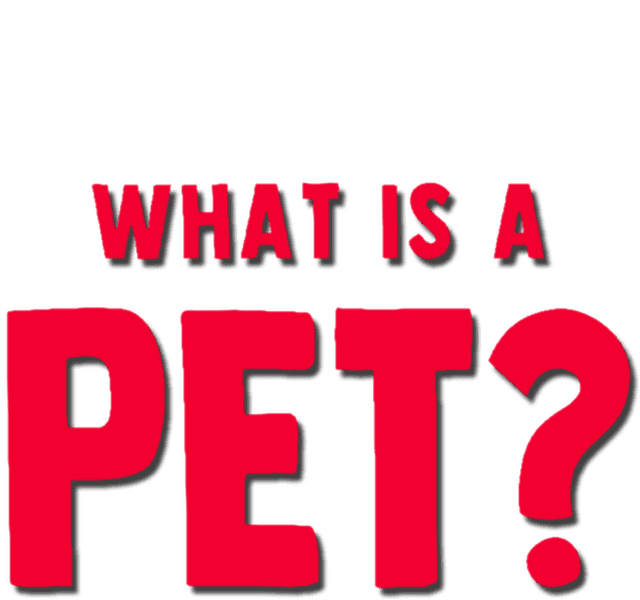 Forky Asks a Question: What Is a Pet?