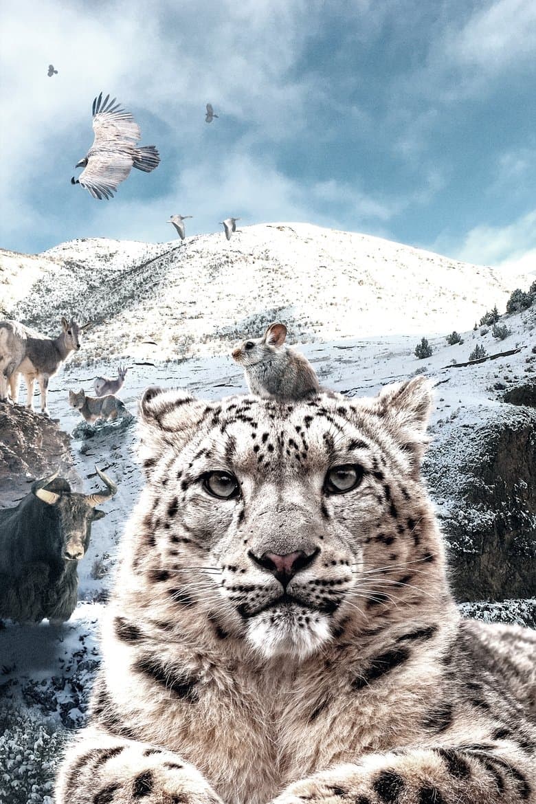 Snow Leopards and Friends