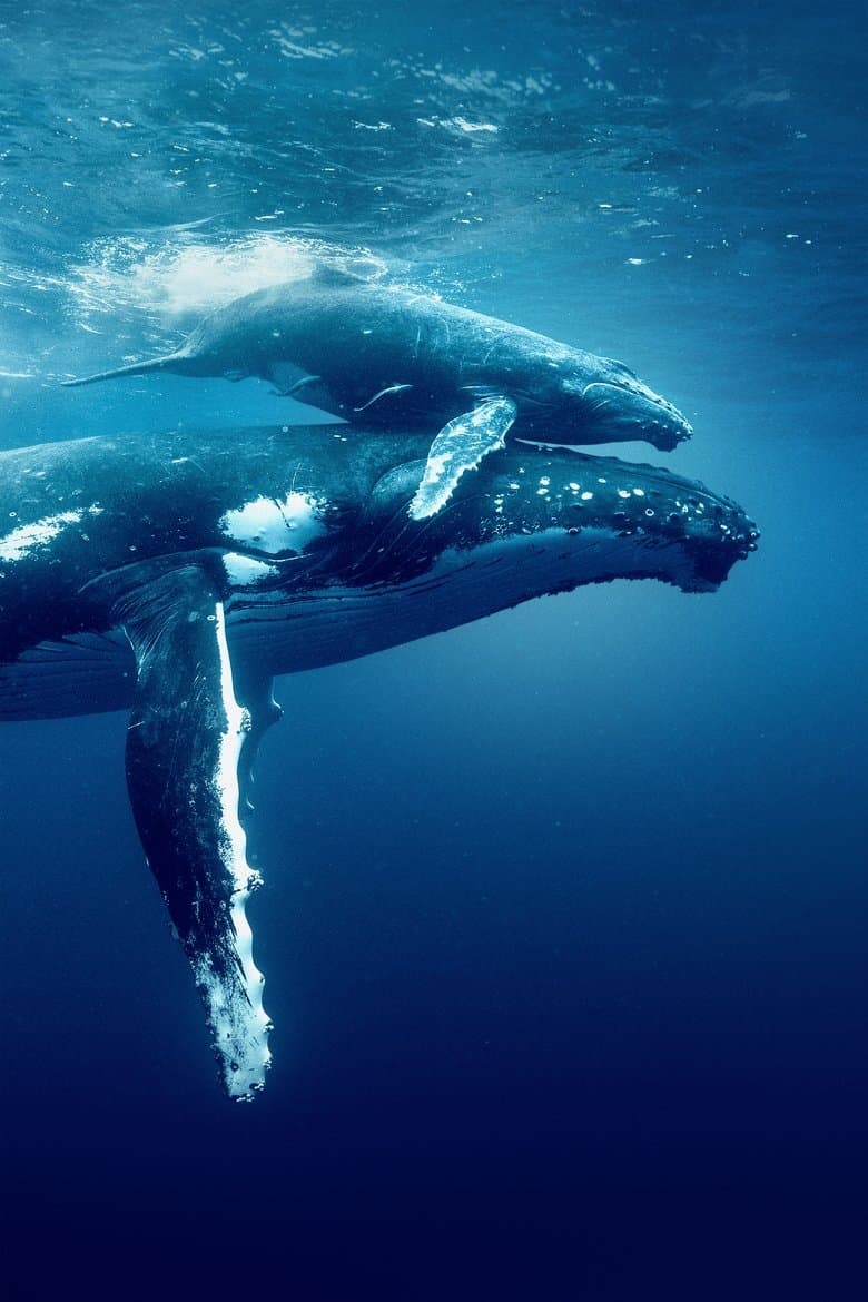 Ocean with David Attenborough